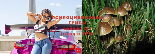 прущая мука Пролетарск