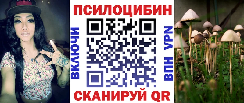 кракен вход  Руза  Псилоцибиновые грибы MAGIC MUSHROOMS  как найти закладки 