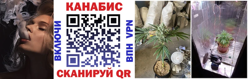 дарнет шоп  Руза  МАРИХУАНА конопля 